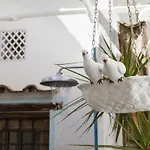 Positano Suite * Positano